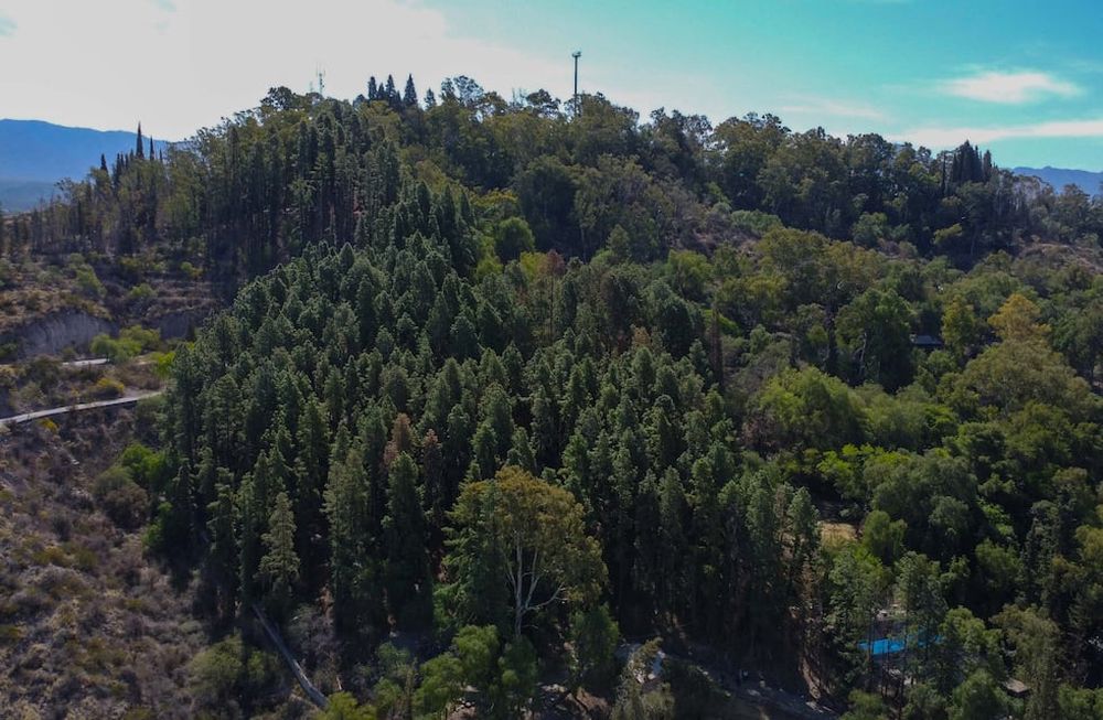 A partir de ahora, solo resta la firma de contrato para que la obra pueda comenzar. Foto: Claudio Gutiérrez / Los Andes