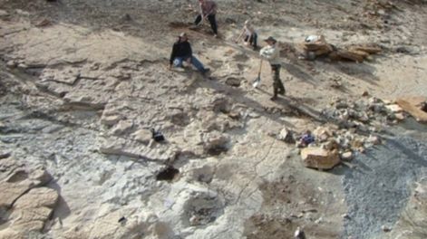 Parque de Huellas de Dinosaurios en Malargüe