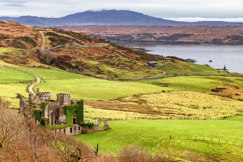 Irlanda, la sorpresa.