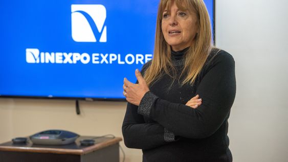 patricia gimenez: mendoza proyecta un crecimiento basado en la diversificacion de su matriz productiva