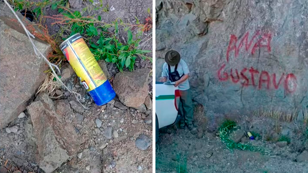 Un camionero fue grabado mientras pintaba grafitis en el Parque Nacional Nahuel Huapi.
