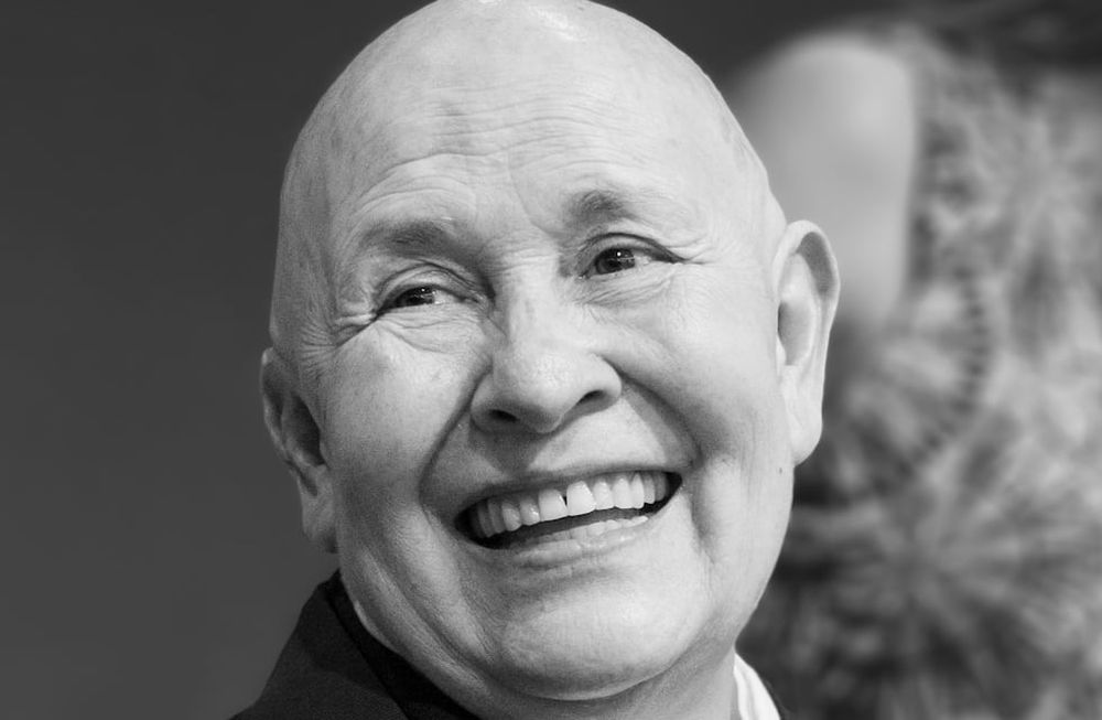 Zen para distraídos, un libro necesario para hacer pequeñas mejoras en nuestra vida