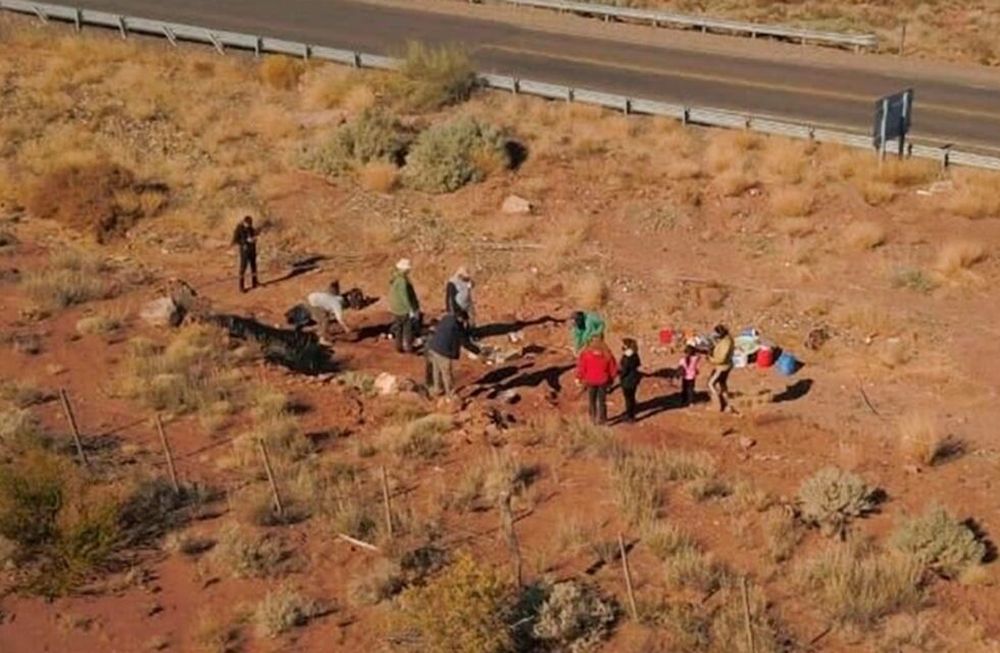 Canale precisó que “se identificaron huesos largos de las extremidades de un herbívoro”. Foto: Gentileza / NeuquenInforma