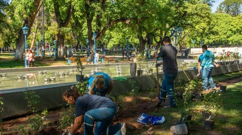 La Ciudad repudia la vandalización de la fuente de la plaza Independencia