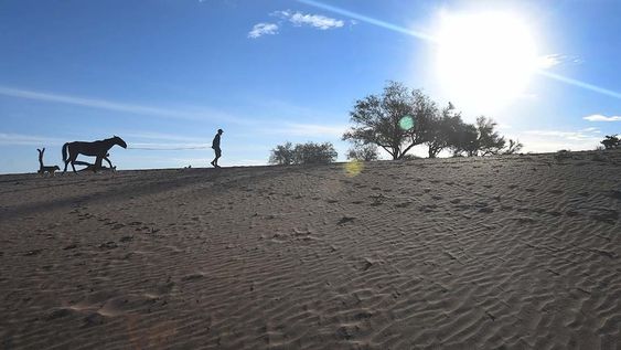 El secano lavallino, postal de la escasez de agua en Mendoza (José Gutiérrez / Los Andes)