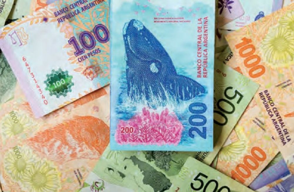 Anses pagará $8.100 en septiembre de 2021: consultá con tu DNI si te toca cobrarlo (Imagen ilustrativa / Web)