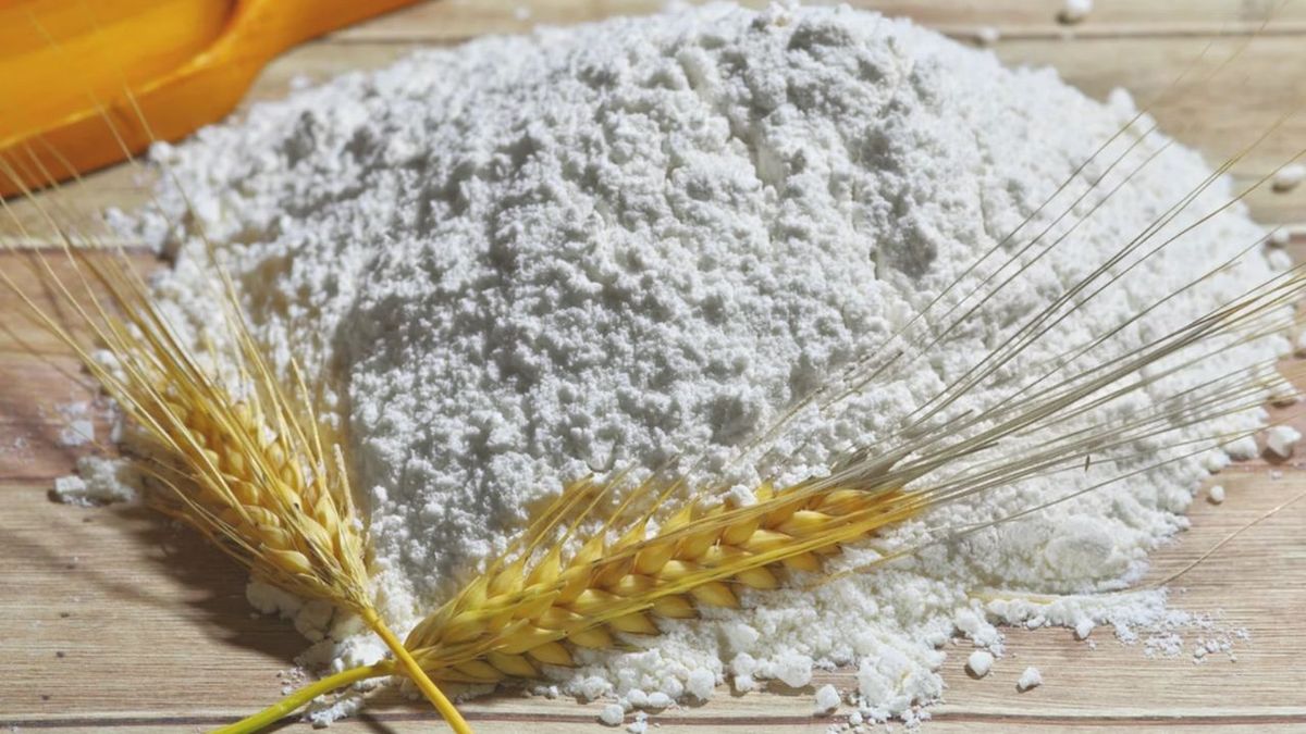 Alternativas a la harina de trigo: cuál de las 9 versiones son más saludables y sin gluten