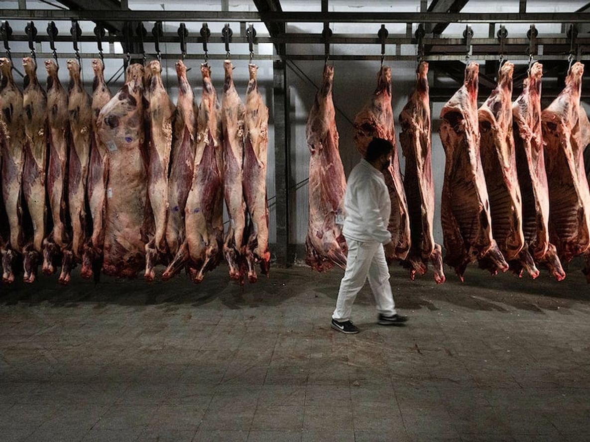 El conflicto entre el campo y el gobierno sigue repercutiendo en la exportación de carne. Foto: Ignacio Blanco / Los Andes