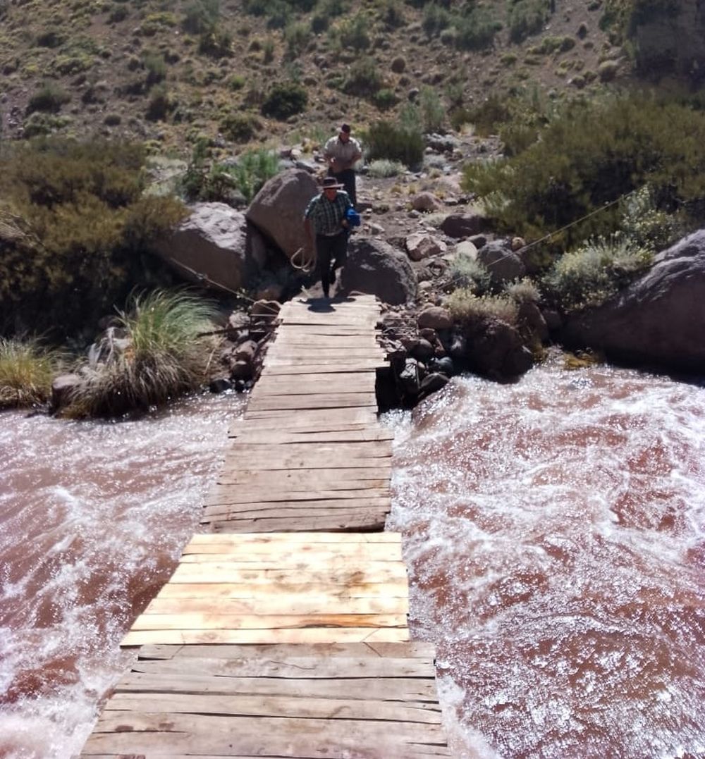 Veranada, la travesía de arrear animales a más de 4.000 msnm para que se alimenten en medio de la cordillera
