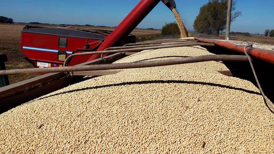 El precio de la soja marcó un récord pero en el sector no ven las mejores perspectivas.