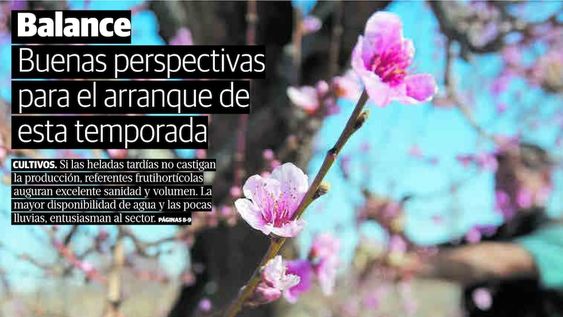 Este sábado, buscá con Los Andes el especial del Suplemento Fincas