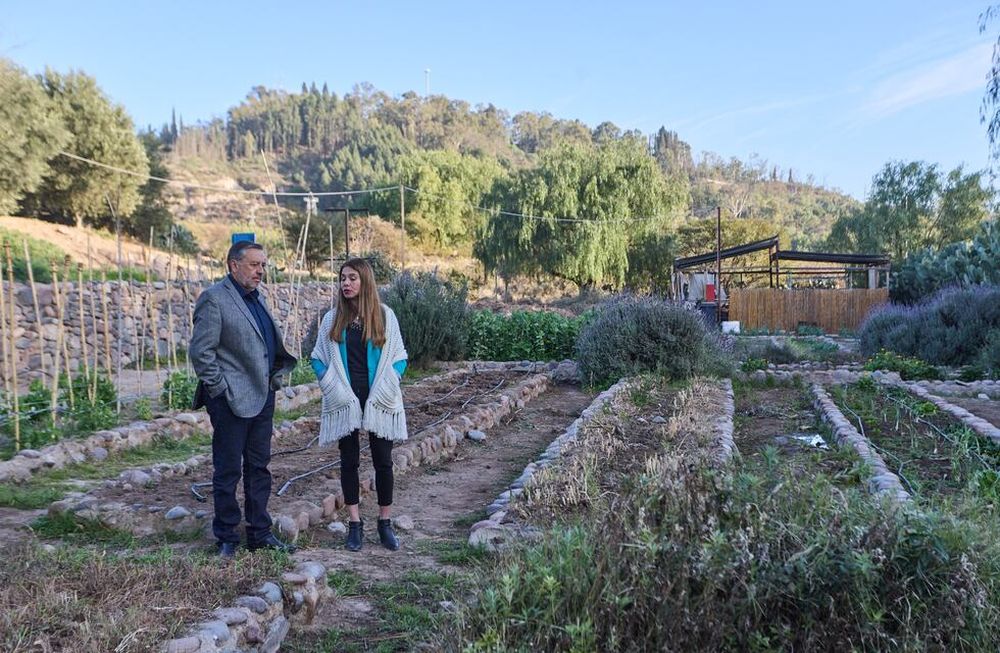 Irrigación y el Liceo Agrícola pondrán en marcha el riego de césped y vides con aguas grises