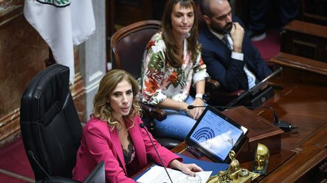 Los Andes | La presidenta provisional del Senado, Claudia Ledesma Abdala. / Foto: Comunicación Senado