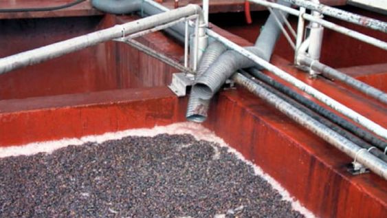 En un año, el mosto sulfitado aumentó su precio casi 100%