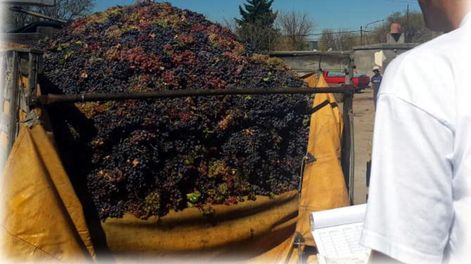 Apostando a la calidad