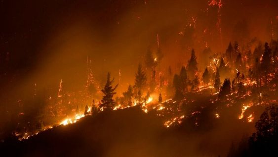 La comunidad quiere que de una vez por todas se castigue a los causantes de estragos tan grandes que, con sus hechos, modifican la vida de muchos indefensos pobladores, quienes perdieron todo.
