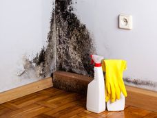 Eliminar la humedad de casa hará un ambiente más sano y confortable sin necesidad de grandes gastos.