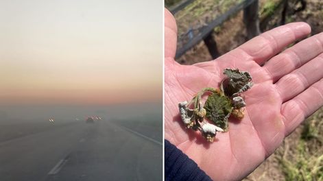 Heladas parciales este miércoles en Mendoza