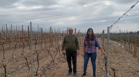 Los Andes | Domingo Fazzio, productor referente del valle de Uco junto a la representante zonal, Ing. Agr. Gimena Fratti, en un cultivo de viñedos donde ha aplicado Gemmit TOP con un exitoso control. También ha tenido éxito en el control de durazno.