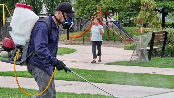 La mejor manera de atacar dichas enfermedades es lograr eliminar los criaderos de mosquitos