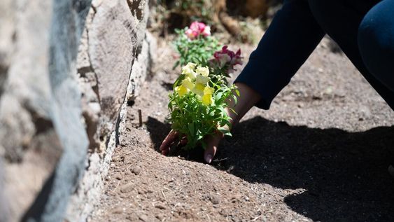 La Ciudad continúa con la actividad “Mi plaza, mi primavera”