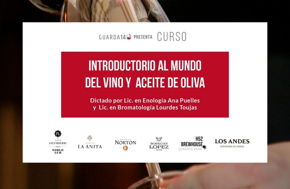 Reservá tu lugar en el nuevo curso introductorio al mundo del vino y el aceite de oliva: ¡quedan pocos días!