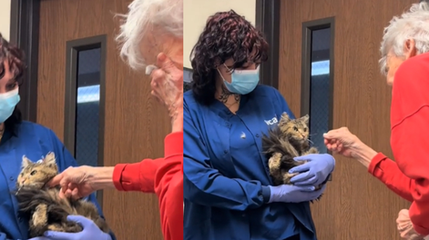 El reencuentro entre una gata y su dueña tras los incendios en Los Ángeles.