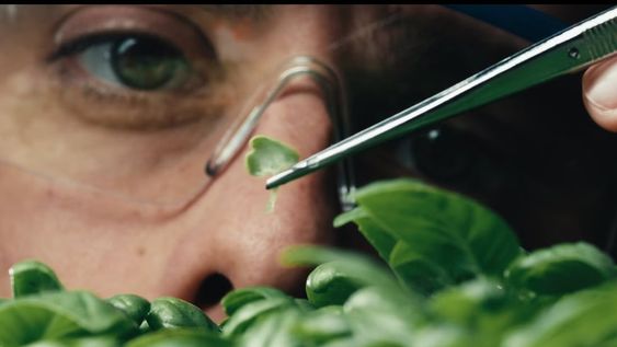 La efeméride resalta el aporte de estos profesionales en la investigación y cuidado de la naturaleza del país. Imagen ilustrativa / Web