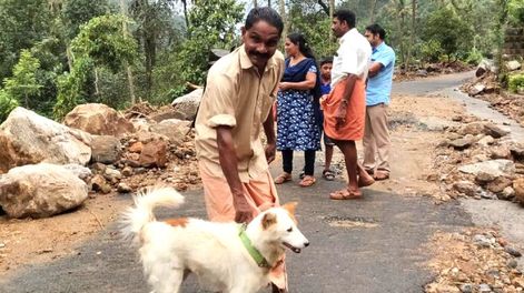 Un perro salvó a una familia de morir sepultada por alud de tierra en la India