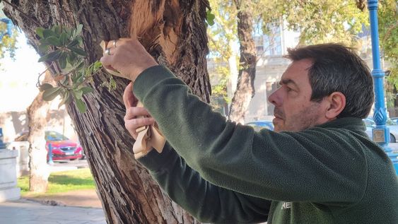 El director del Área de Agroecología y Controladores Biológicos del Iscamen, Gastón Crauchuk