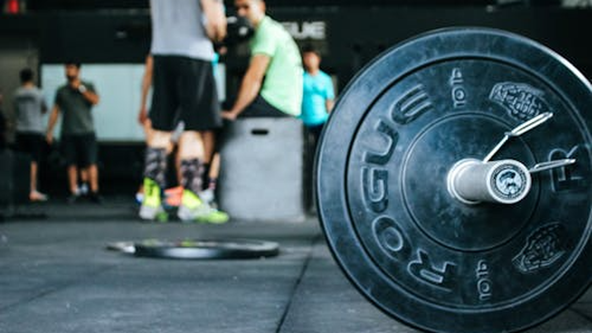 Resistencia vs fuerza: cuál es el mejor tipo de entrenamiento para tu salud