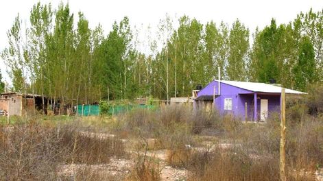 Blanqueo de construcciones clandestinas