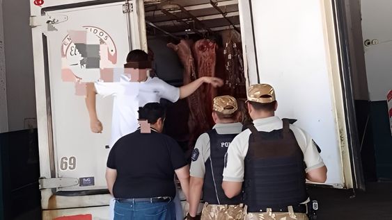 Decomisan carne en mal estado en operativos en Guaymallén y General Alvear&nbsp;