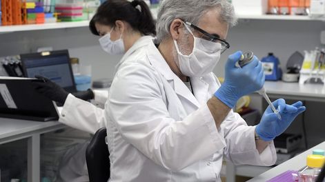 Los Andes | Se oficializaron los protocolos para el uso del suero equino. / AFP
