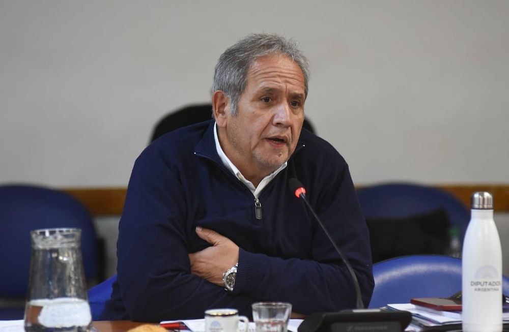 El diputado Sergio Palazzo (Frente de Todos), secretario general de la Asociación Bancaria (Foto: HCDN)