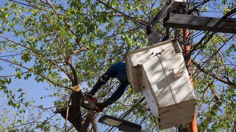 Lugares, dias y horarios de las tareas