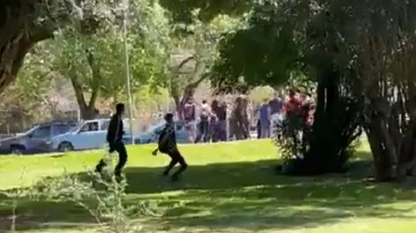 Mejora el chico que recibió un piedrazo en la cabeza en una pelea de la que no participaba: comía un pancho