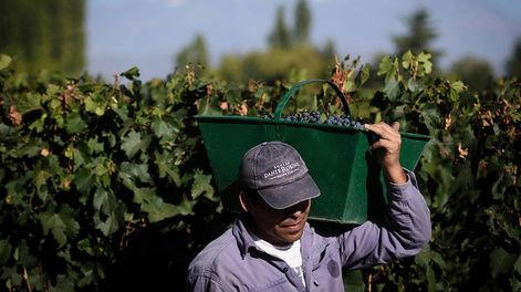 Los Andes | VOPRC54BFBBFBNUM2PJVNDJCSU.jpg?quality=75&smart=true&auth=30cd433fd56e6bc43d82c5fb6a182126e77189901cf4f324d268d375c402e824&width=980&height=640