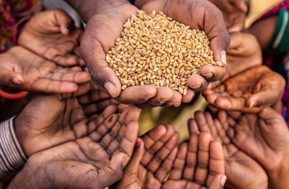 Rusia ofrece donar medio millón de toneladas de cereales para África y Asia