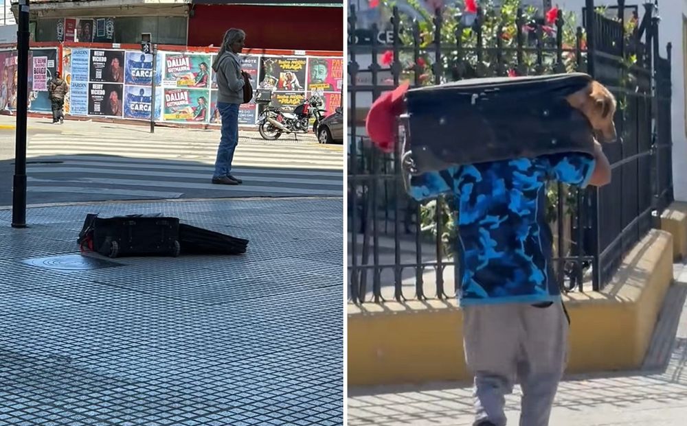 El caso de Ramón, con moquillo, sarna y desnutrición, se viralizó en TikTok y generó miles de mensajes de apoyo.