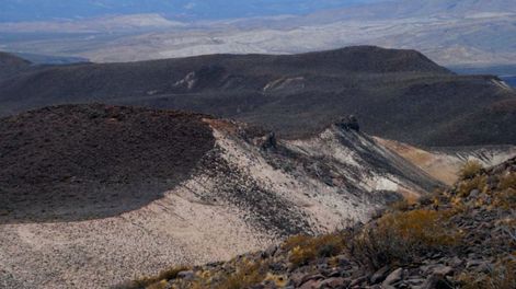 Paleontología: viaje al pasado remoto de nuestra provincia