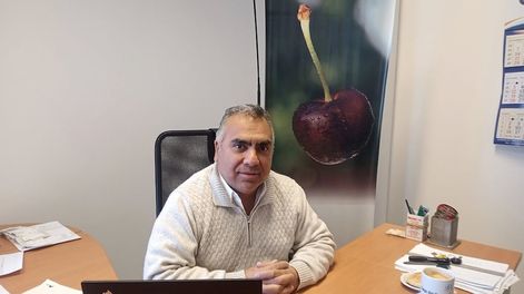 Los Andes | Para Diego Aguilar, presidente de la Cámara de Cerezas de Mendoza, el sector local debe apuntar a una fruta de primicia. Imagen: gentileza.