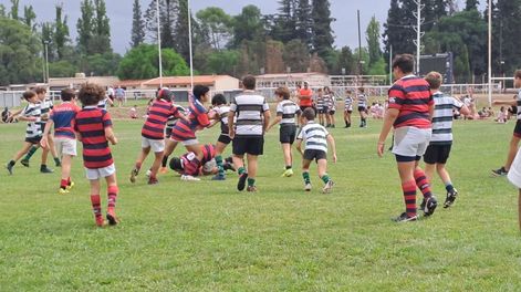 Los Andes | ZOR5XHHRDZFQFAIPTEN72POIDM.jpg?quality=75&smart=true&auth=00ad1f34fa7a79288f92147e59289ee76fe2f9a544814cbd0927fcb560cb2243&width=980&height=640