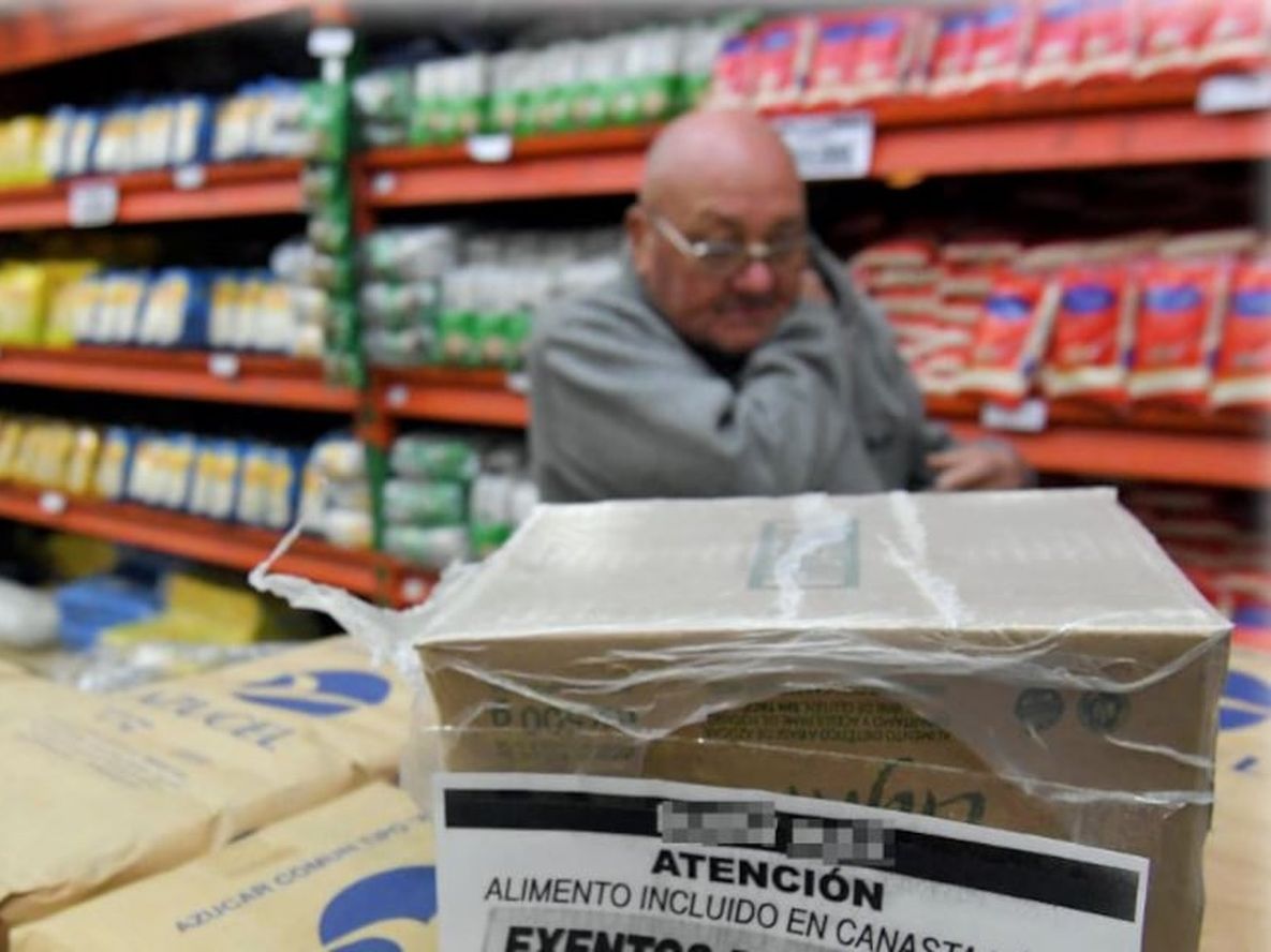 Economía 2019: ¿sólo el consuelo  del rebote del gato muerto? - Por Néstor Donato Ferrari