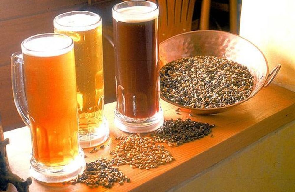 Las propiedades de la cerveza pueden mejorar el aspecto de las plantas.