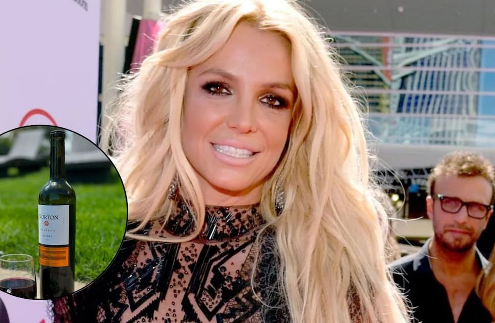 La bodega creadora del vino que le gustó a Britney Spears lanzó una increíble promoción en su página web.