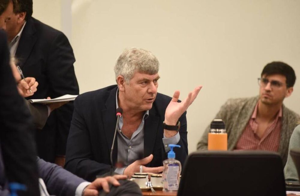 El diputado radical Ricardo Buryaile, titular de la Comisión de Agricultura (Foto: HCDN)