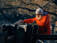 La Patagonia puede ser un territorio clave para la lucha contra el cambio climático La Patagonia puede ser un territorio clave para la lucha contra el cambio climático