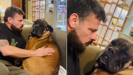 Volvió de viaje y su perro lo ignoró porque no lo llevó