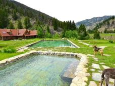 En 1981, compró un rancho de 52 hectáreas, lo restauró durante 20 años y terminó vendiéndolo por US$4 millones.